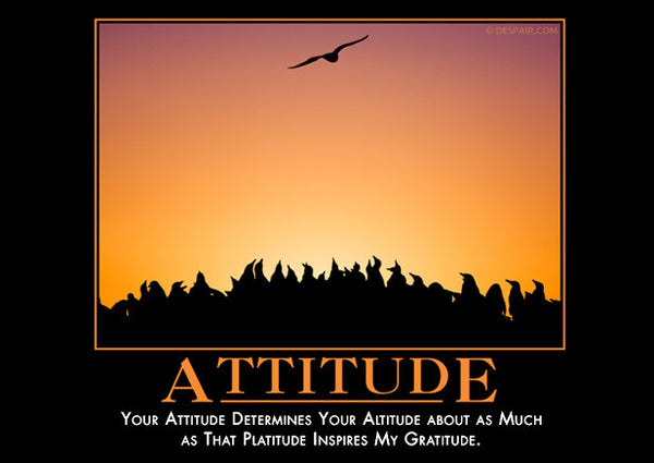 Attitude - Despair, Inc.