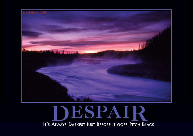 Image result for demotivational posters despair