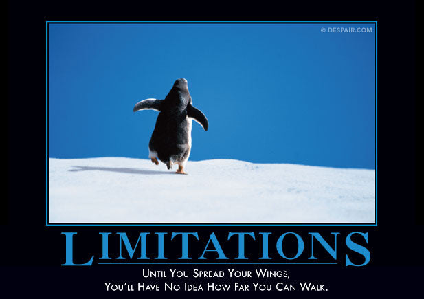 Image result for demotivational poster limitations