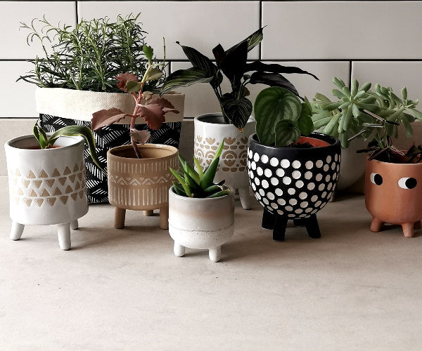 Plants & Plant Pots