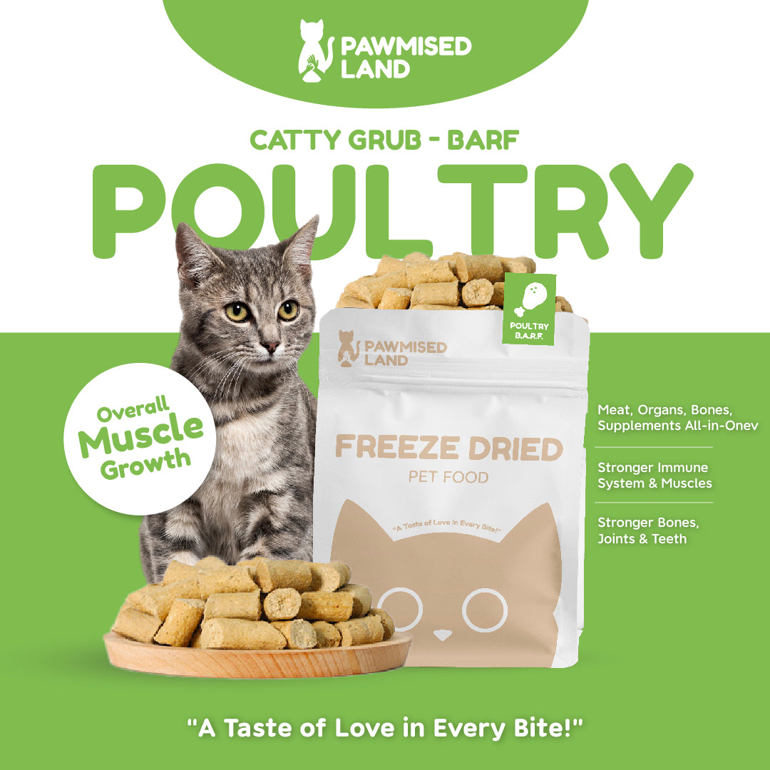 Catty Grub - Freeze Dried BARF - PawmisedLand product image