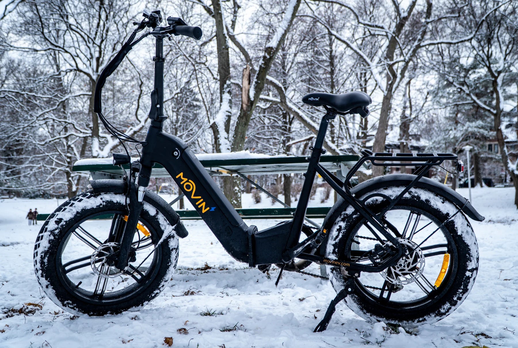 winter e-bike