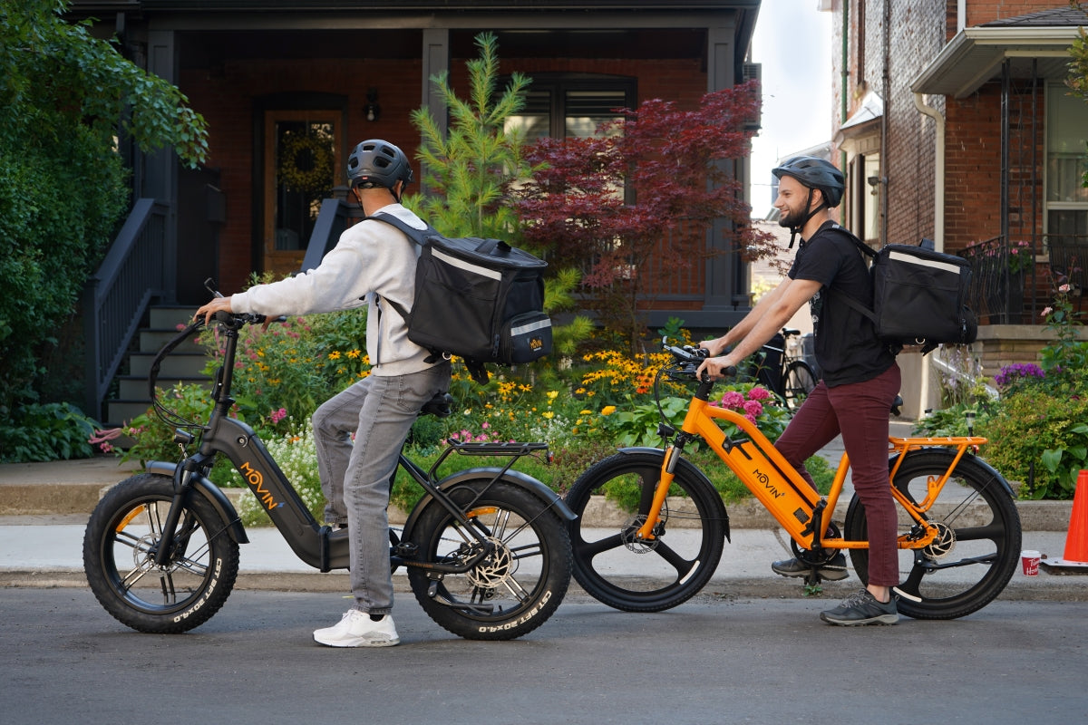 Delivery Backpack