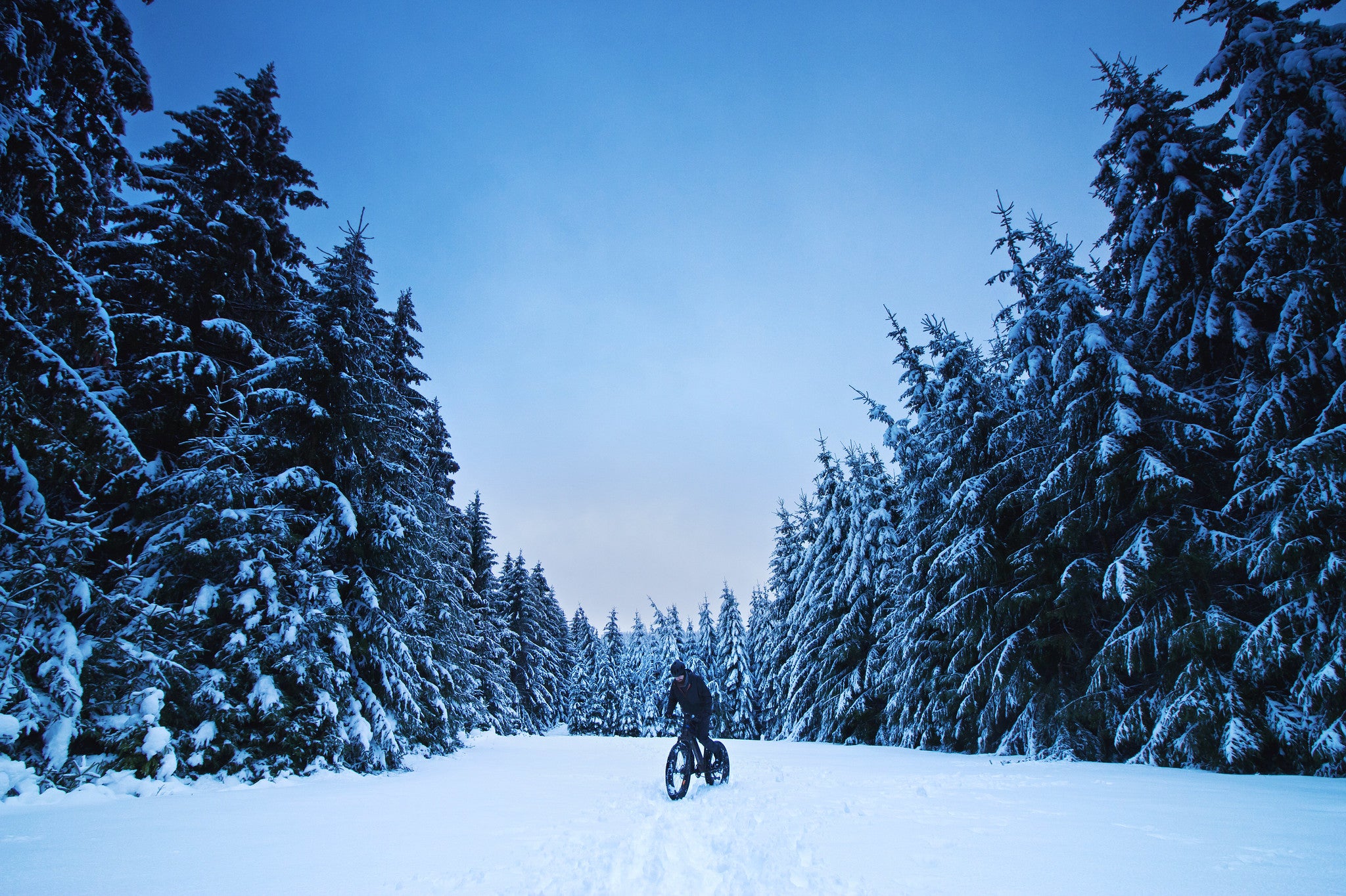 ebike-winter-forest