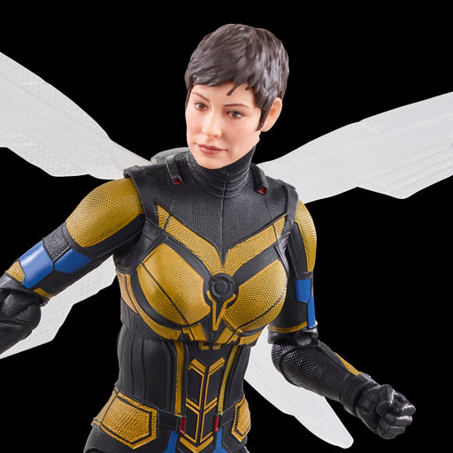 Marvel Legends Ant-Man & the Wasp: Quantumania Kang the Conqueror Cass –  Toyz in the Box