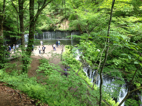 Section C　長野県 信濃路自然歩道　白糸の滝 観光客に混じり