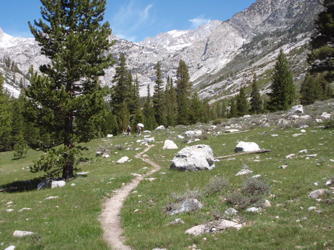 PCT Go to Muir Pass