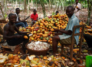 Cocoa_farmers