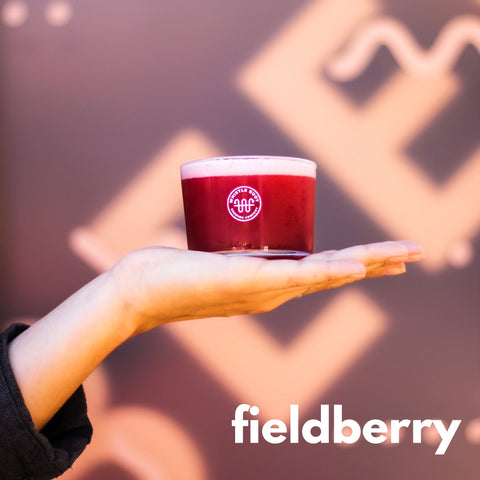 fieldberry sour fruit beer by whistle buoy brewing