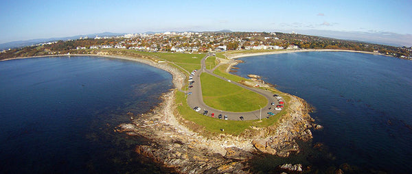 aerial photo of clover point at dusk