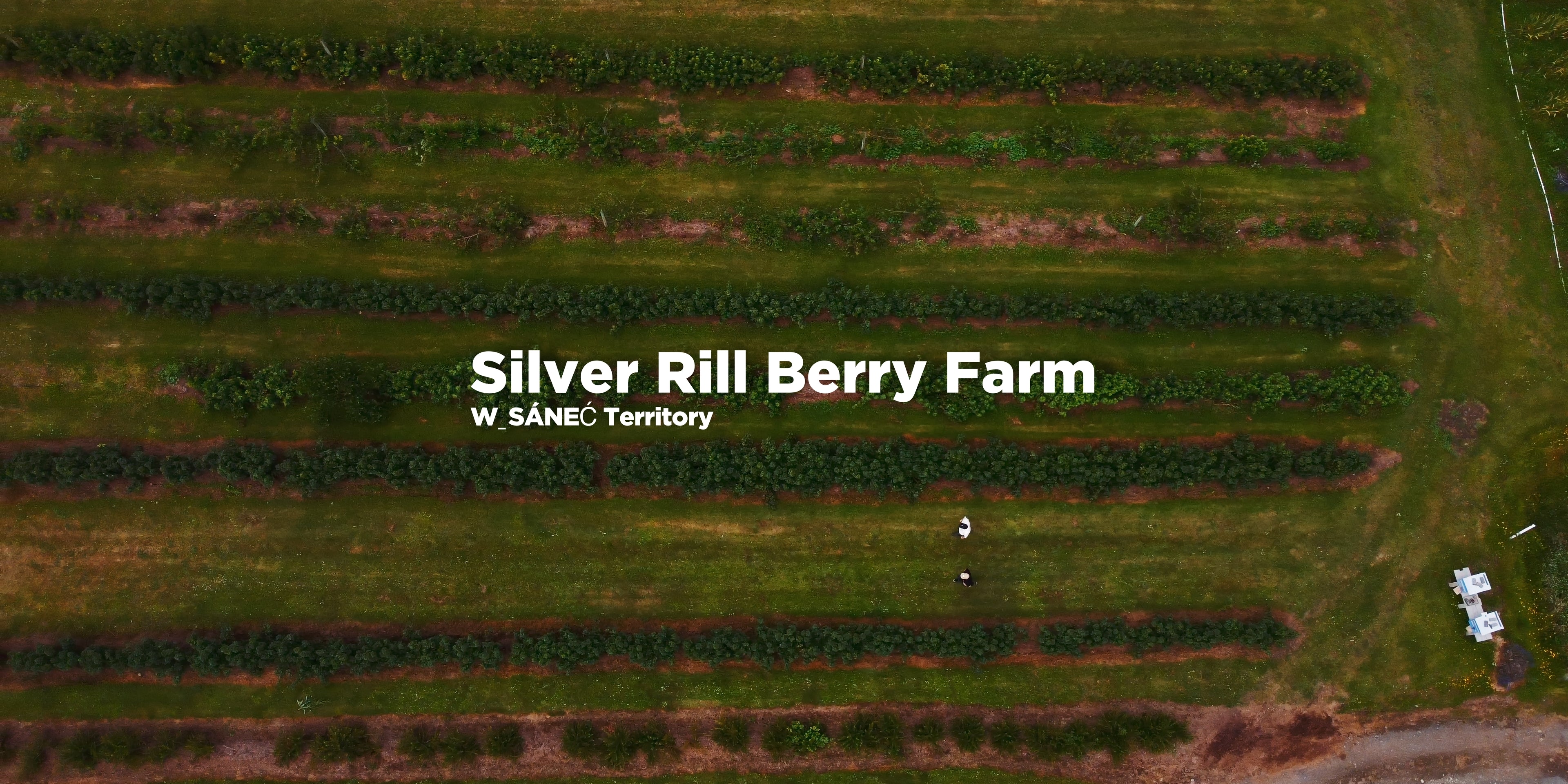Ariel shot of Silver Rill Berry Farms / W̱SÁNEĆ Territory