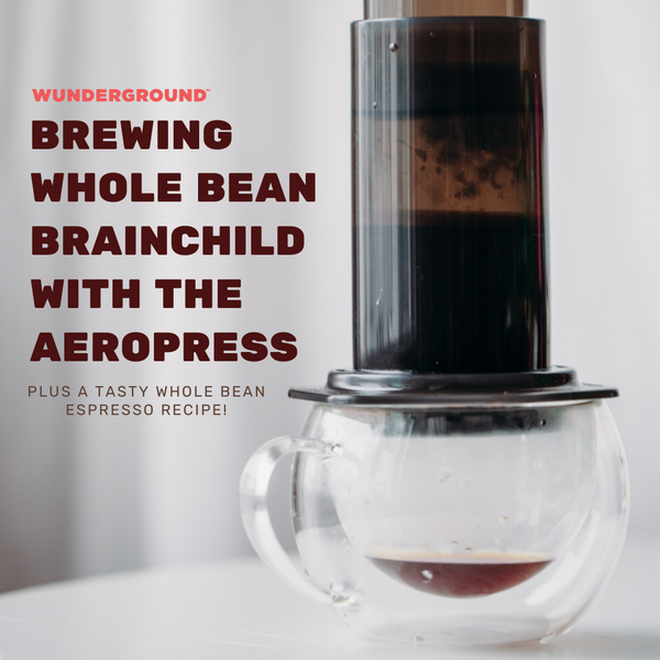 Brewing Whole Bean Brainchild with the Aeropress