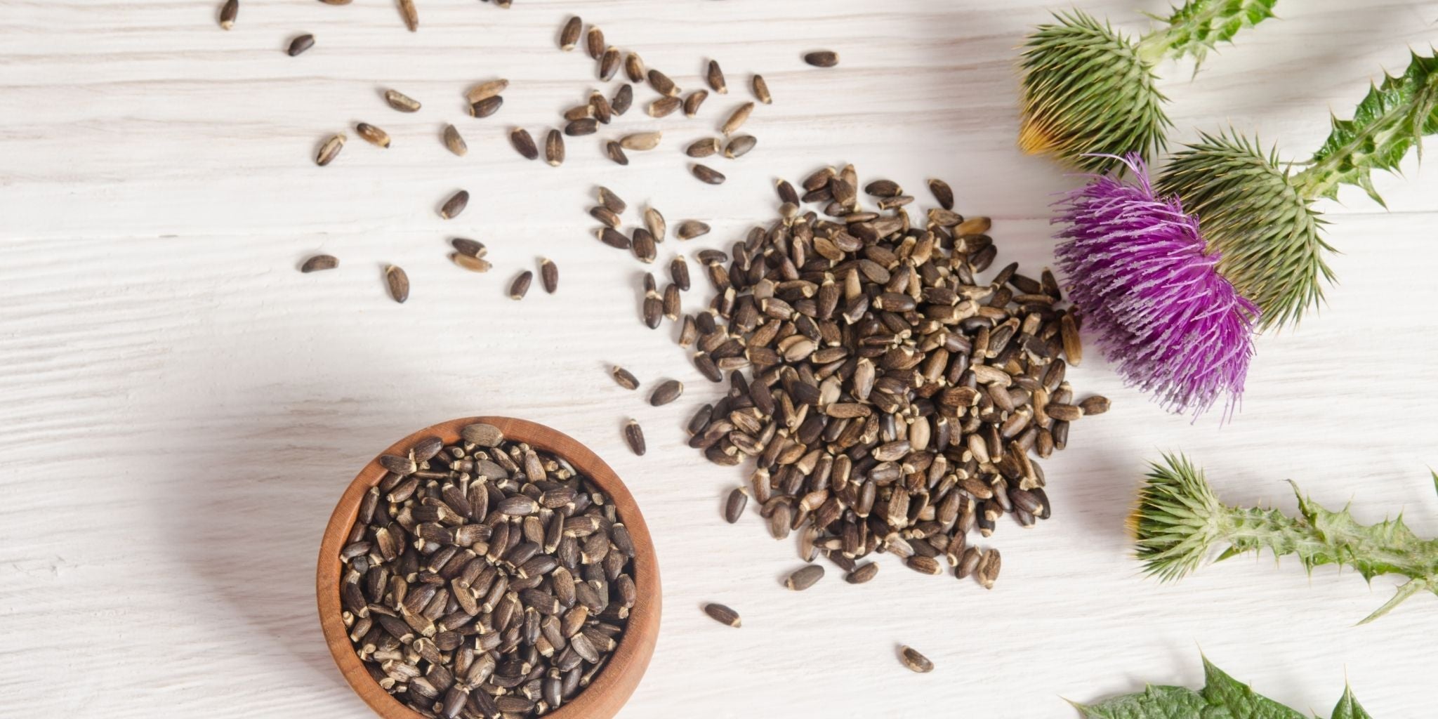 7 Reasons to add Organic Milk Thistle to your Diet