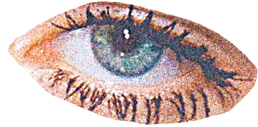 eye