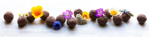 seed ball, paper ball, clay, flower, soil, earth, earth day, save the planet, wildflower, bee, bees, pollinator