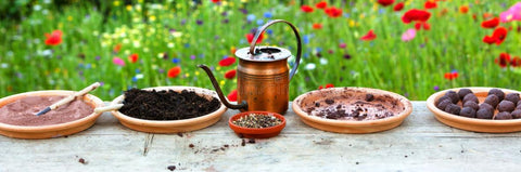 pots, clay, gardening, garden, wildflower, seed ball, watering can, flowers