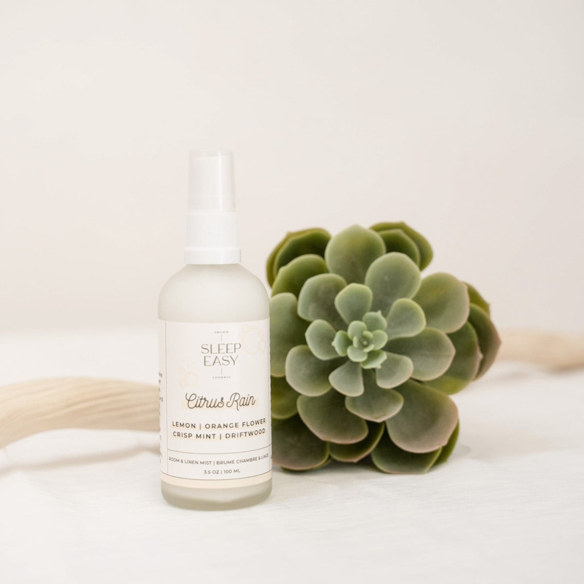 Citrus rain room spray is displayed in front of a green succulent and dirftwood. room spray, linen mist, home fragrance, air freshener