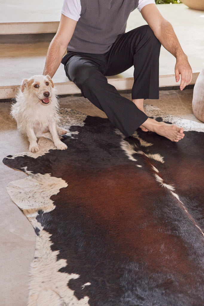 Dog enjoying his cowhide rug with his owner