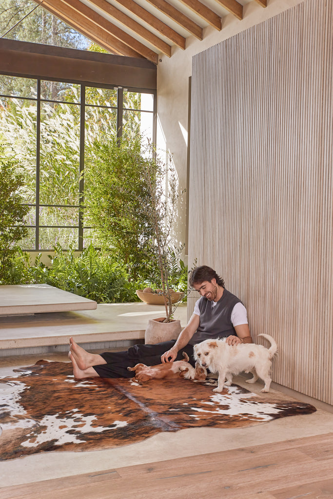 couple of dogs on a cowhide rug and their owner