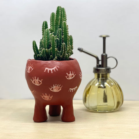 Club terracotta | Pot à cactus en argile