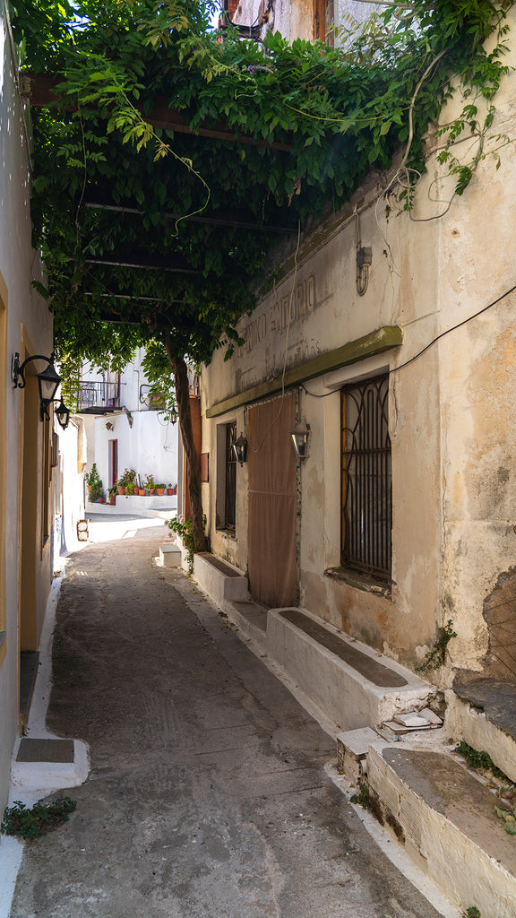 ioulida walks 