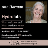 Ann Harmon Webinar photo