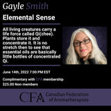 Elemental Sense webinar ad photo