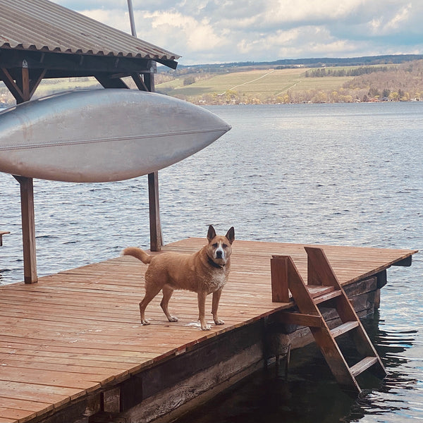 The Finger Lakes are Pet-Approved