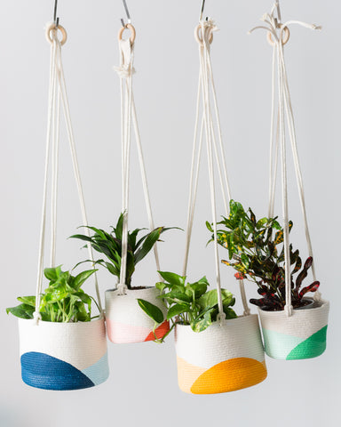 Hanging Planters from Closed Mondays
