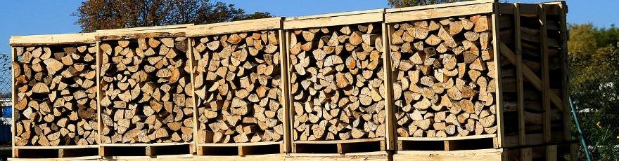 Which Firewood Is Best For Cooking In Your Oven?