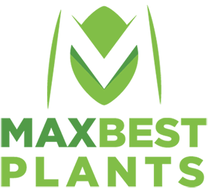 Max Best Plants