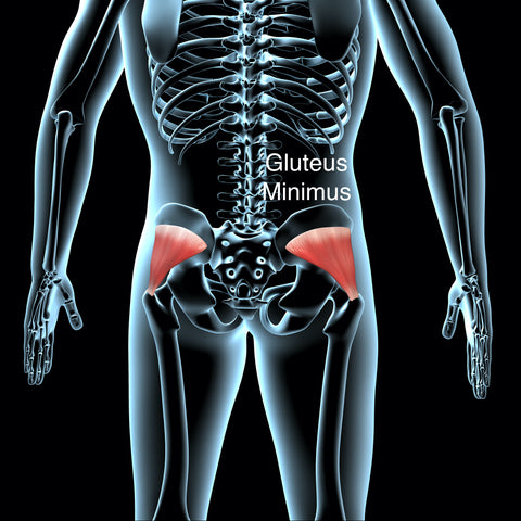 gluteus minimus for butt massage