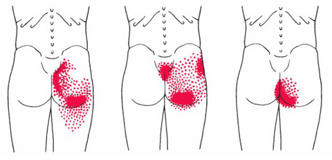 Gluteus maximus - Glute RDLs