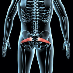  TURQEZRA Piriformis Stretcher Sciatica Pain in Hip & Butt - 14  Trigger Points Massage Release Tight Psoas, Lower Back, Deep Glute, SI  Joint, Pelvic, Sacrum, QL Muscles : Health & Household