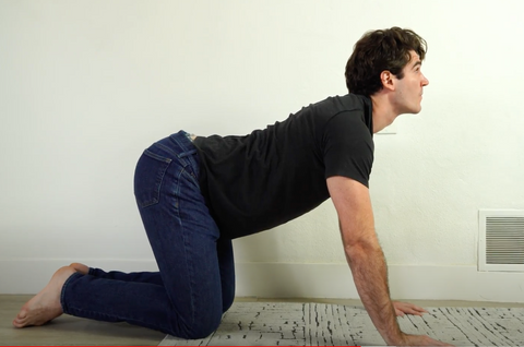 8 lower back stretches for flexibility and pain relief