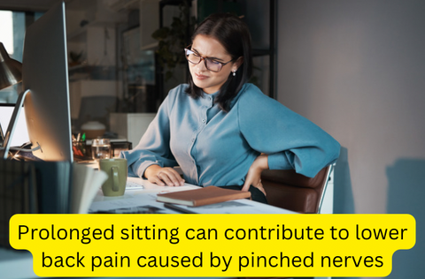 prolonged sitting vs stretches for pinched nerve in lower back