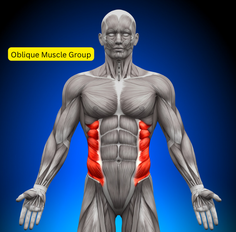 know about oblique muscle pain and oblique anatomy