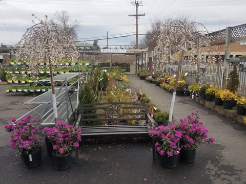 Garden Center