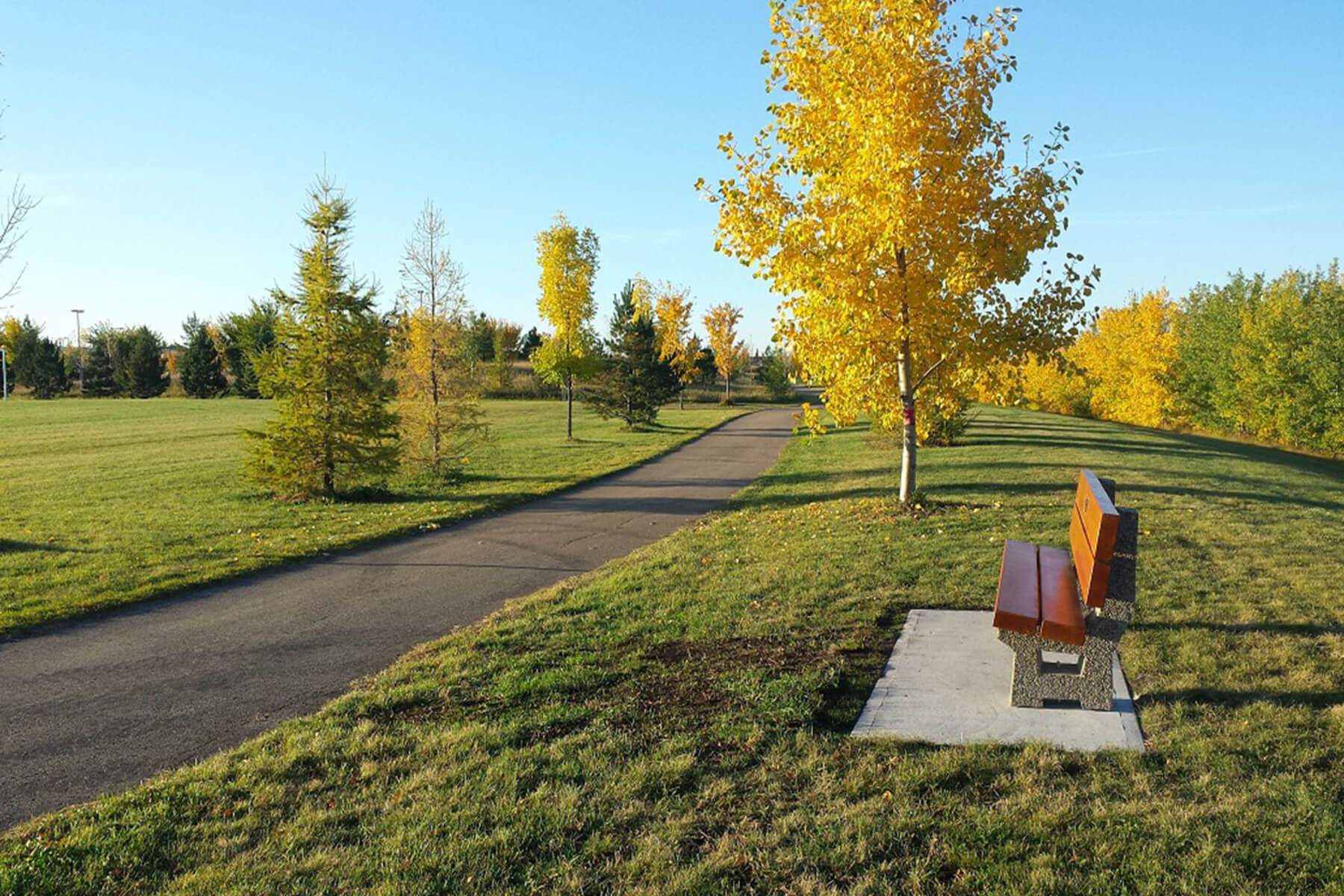 adopt-memorial-park-bench