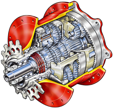 Ebike Internal Hub Motor