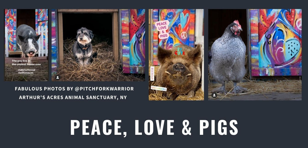 allie-for-the-soul-arthurs-acres-lyle-farm-dog-she-shed-hand-painted-heart-art-rainbow-colorful-peace-love-pigs-allison-luci