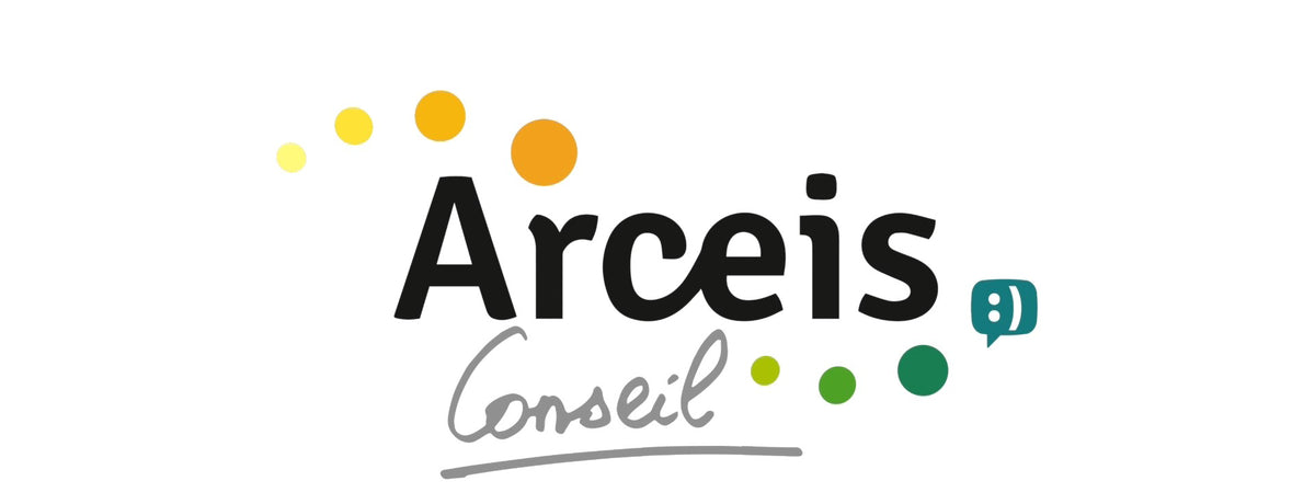 ARCEIS CONSEIL