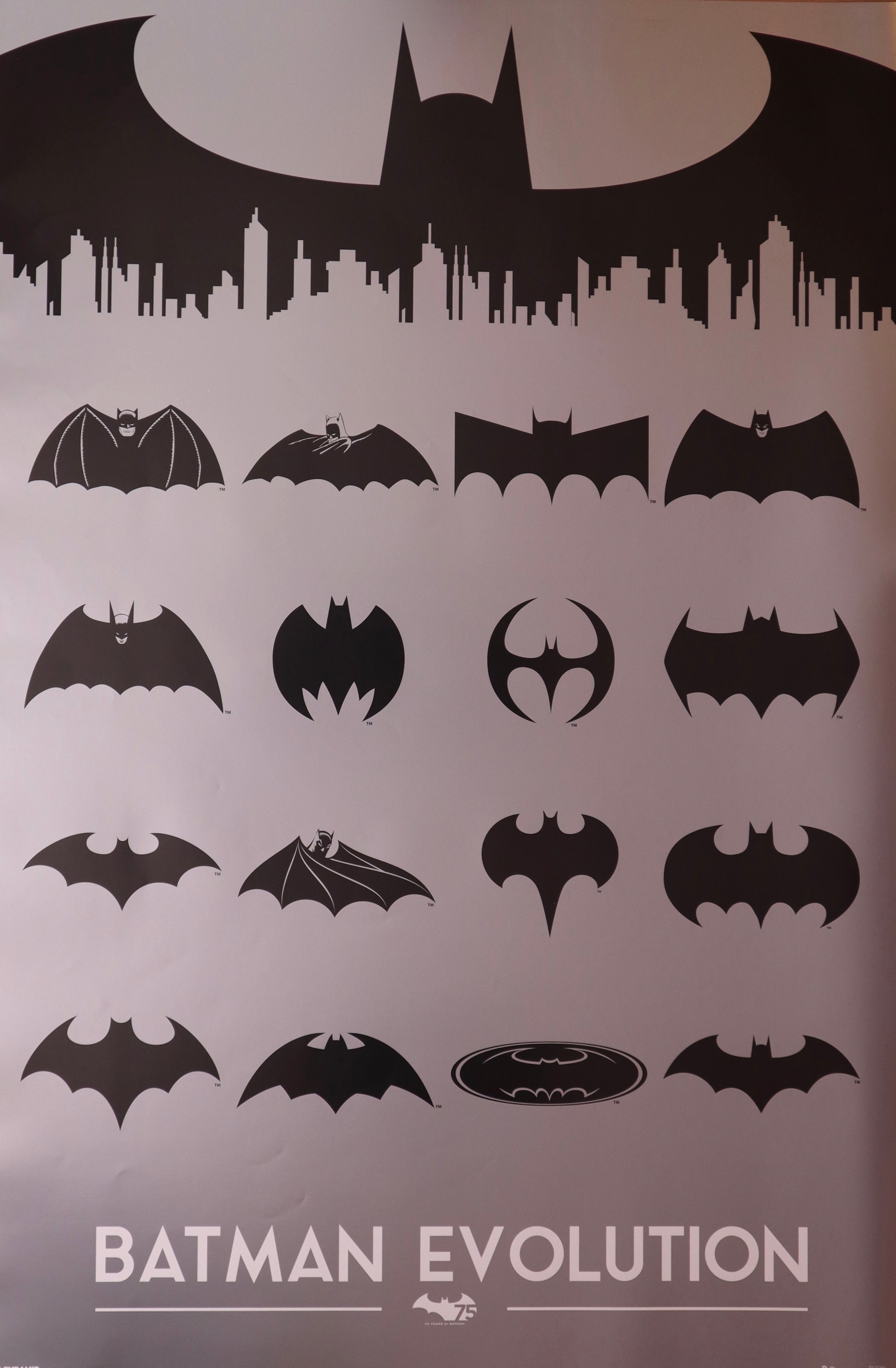 Batman - Logo Evolution - DC Comics Superhero Poster (24 x 36 inches) –  Imaginus Posters