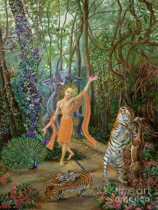 Mahaprabhu in the Jarikhanda forest - Art Print
