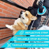 Hands-free retractable dog leash