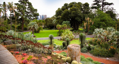 Royal Botanical Gardens Melbourne, Australia