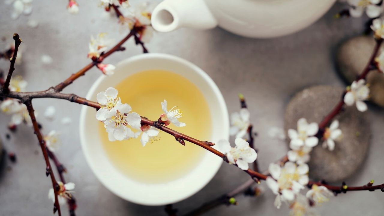 White Tea - A Healthier Take On Hot Beverages