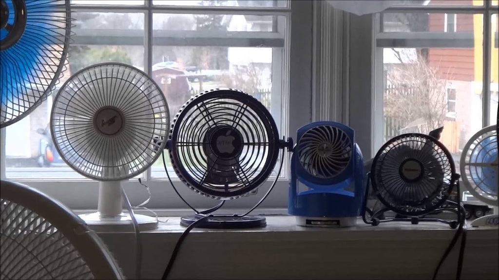 fan