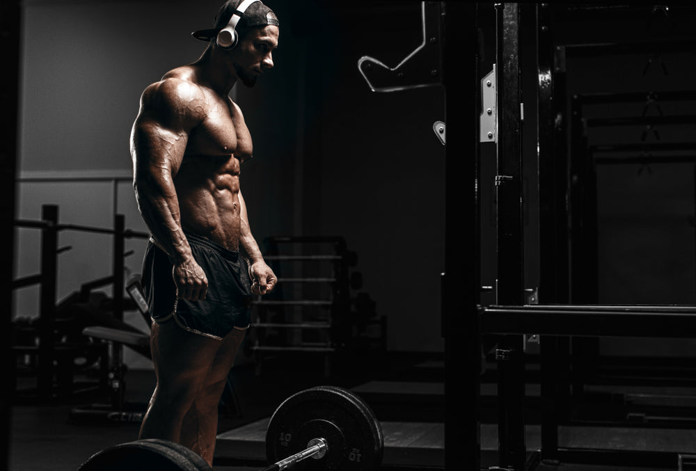 SARMS Cycle: The Ultimate Guide for Beginners
