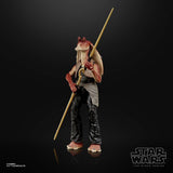 Star Wars The Black Series Deluxe Episode I Jar Jar Binks 6" Inch Action Figure - Hasbro